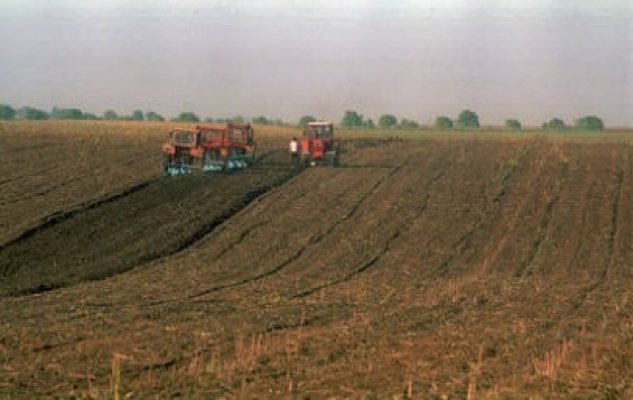 România, ţara cu cele mai ieftine terenuri agricole din Europa. Preţurile încă mai scad